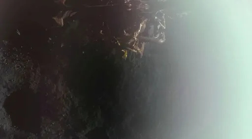 Впервые на Луну прибыл частный зонд